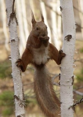 IMG_1182.jpeg